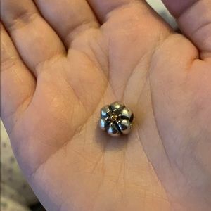 Pandora Flower 2-Tone Charm